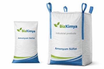 Amonyum Sülfat